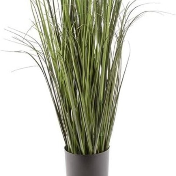 NEW Black Grass Plant - Lifelike Artificial House Plant - 47" High - Picture 3 of 7